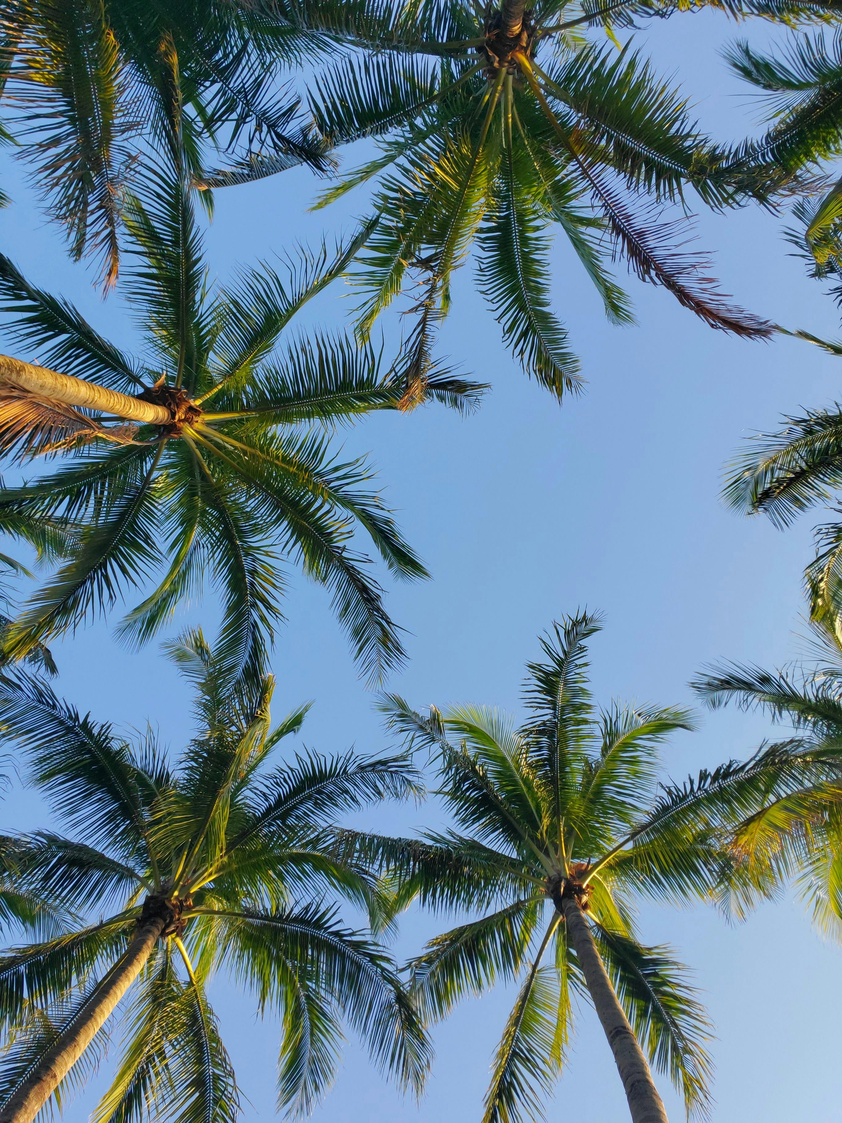 Florida — Florida sales tax guide