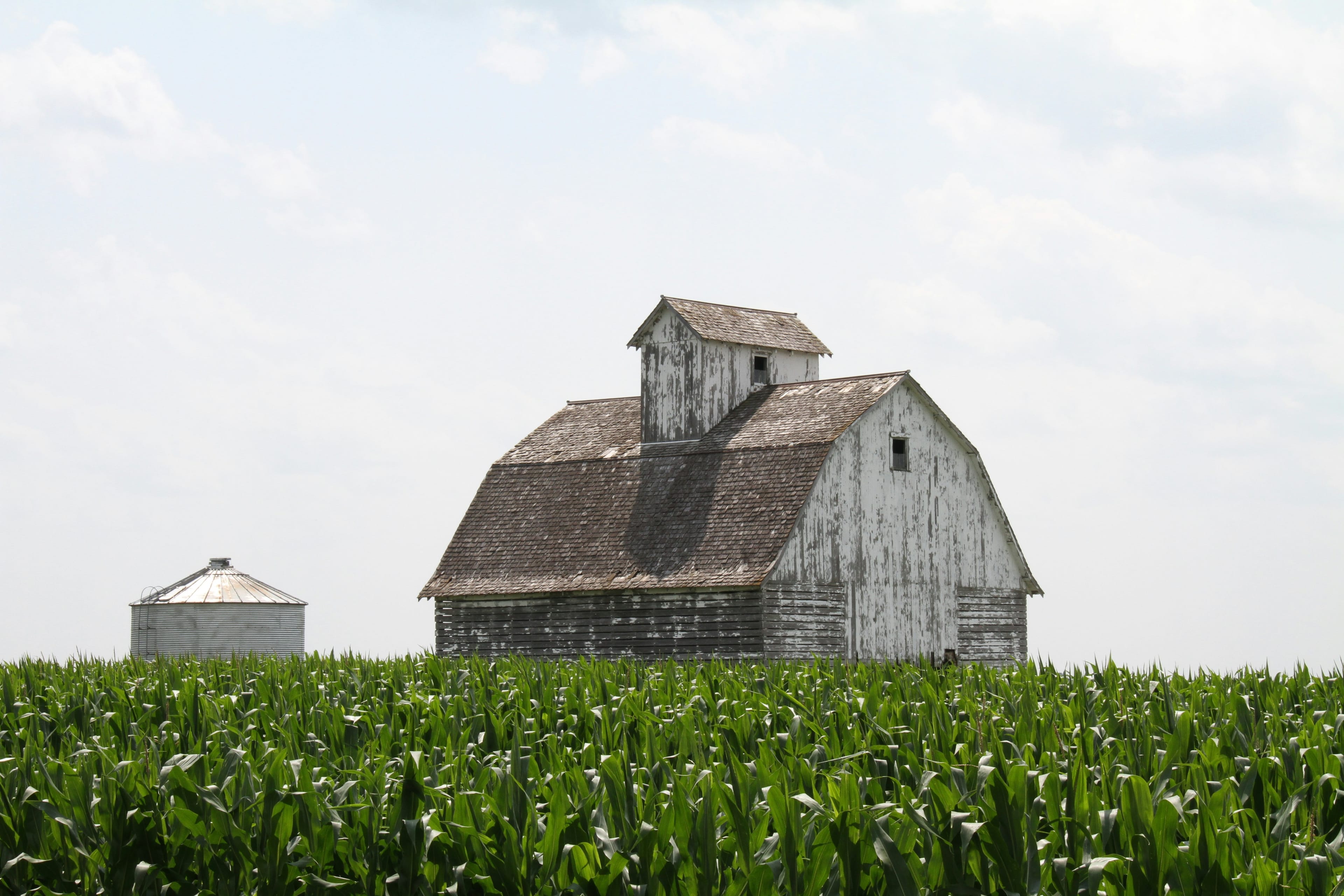 Iowa sales tax guide for SaaS and e-commerce businesses