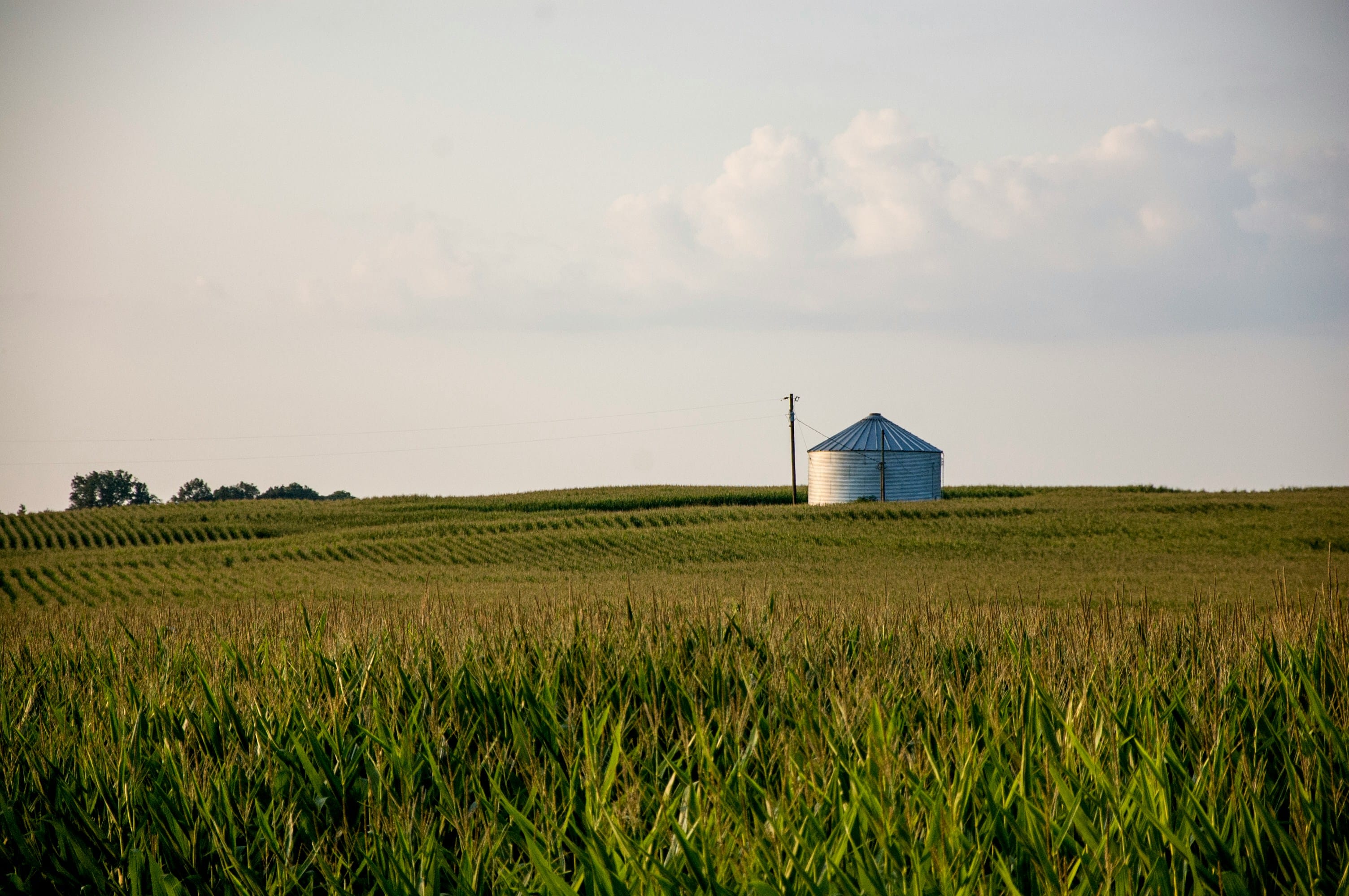 Kentucky sales tax guide for SaaS and e-commerce businesses