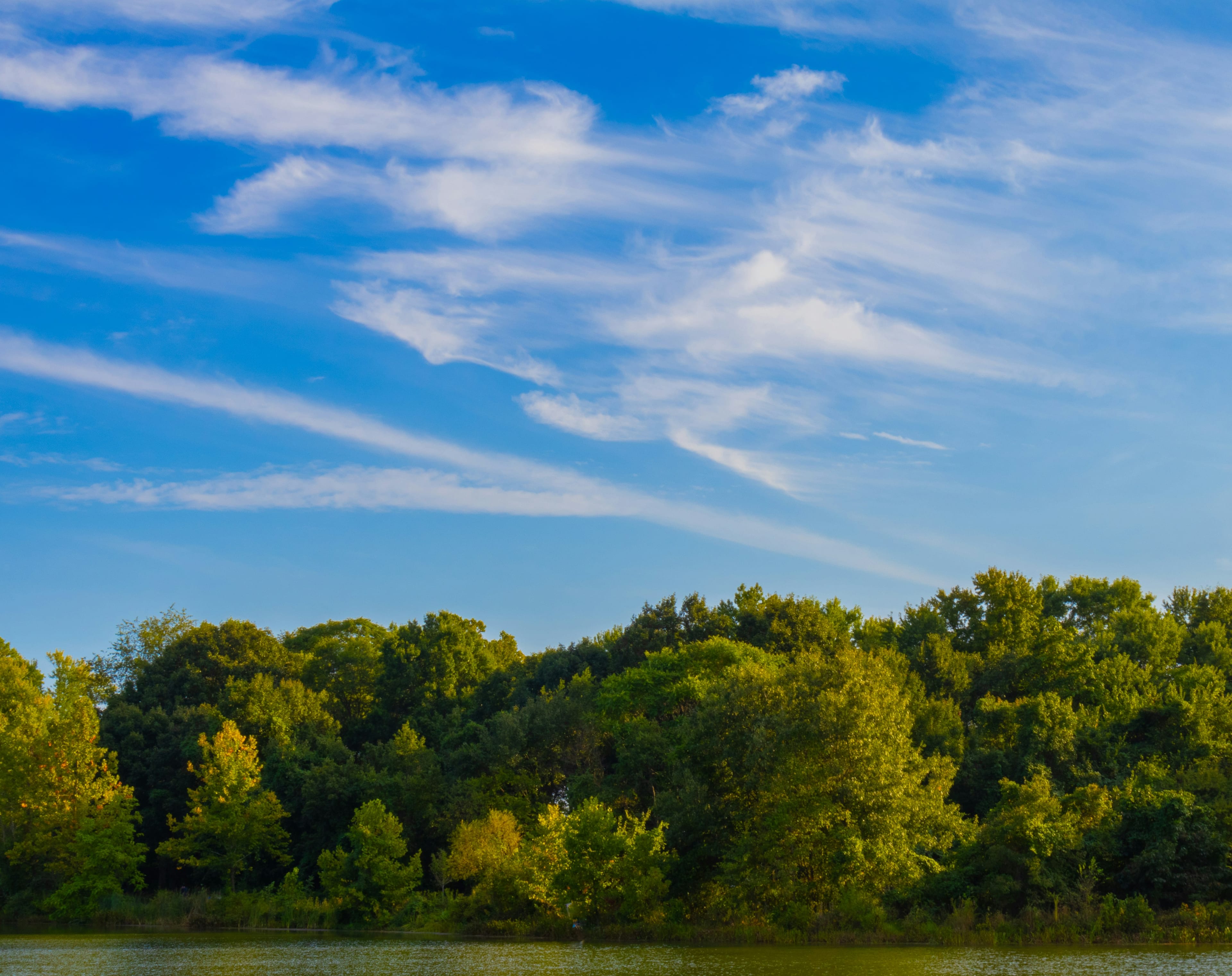 Maryland sales tax guide for SaaS and digital products