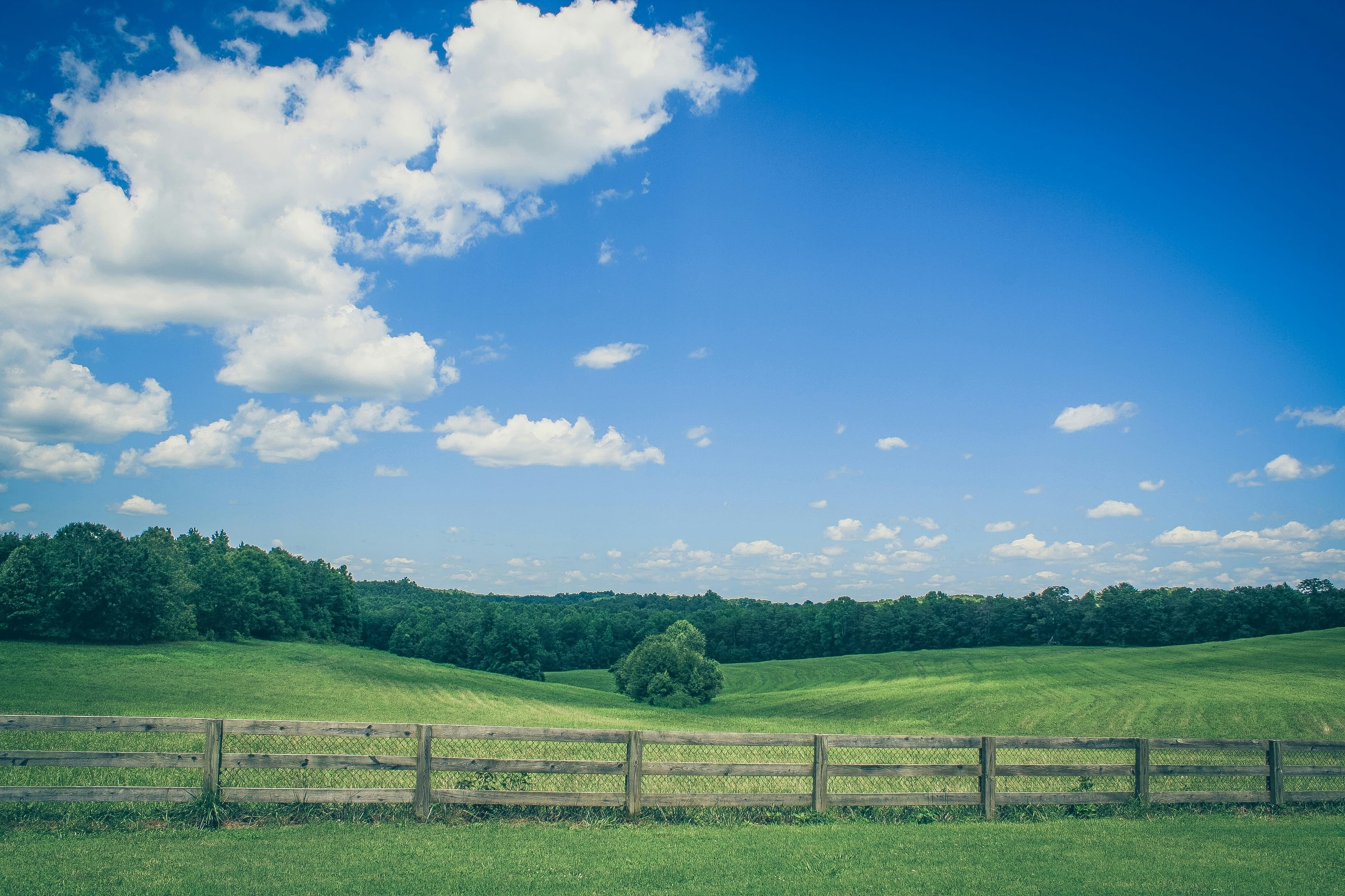 South Carolina sales tax for SaaS & digital products